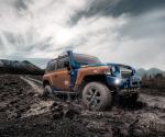 Troller TX4 2020 года
